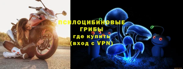 бошки Пенза