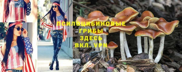 Альфа ПВП Киров