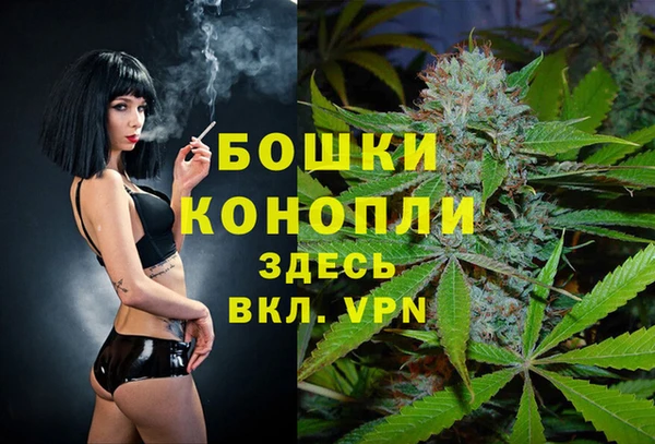 Альфа ПВП Киров