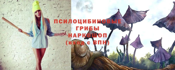 бошки Пенза